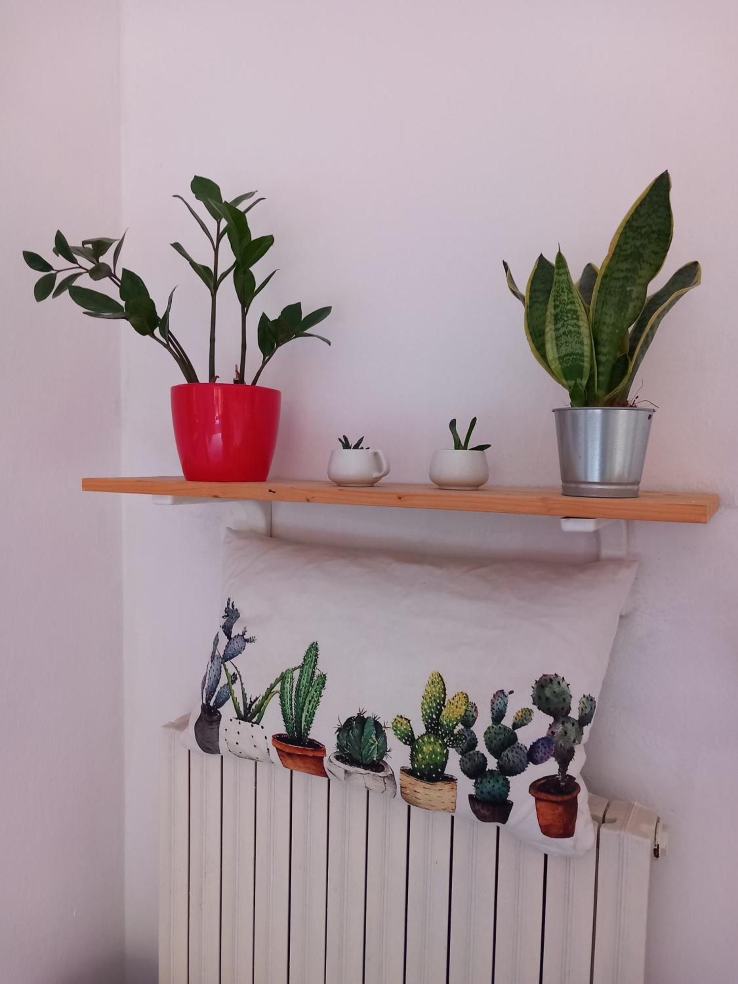 Homestay A Casa Di Sara *
